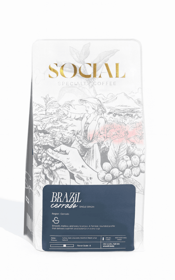 مول القهوة – اشتري حبوب قهوة مختصة للفلاتر في مصر