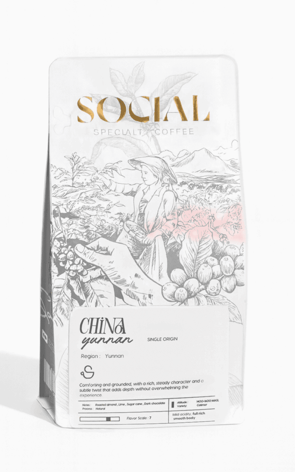 مول القهوة – اشتري حبوب قهوة مختصة للفلاتر في مصر