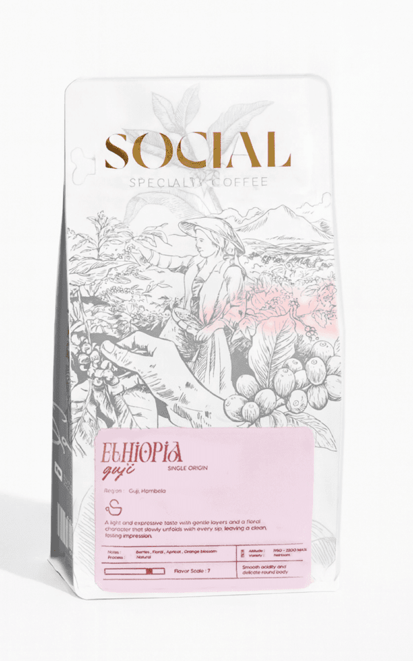 مول القهوة – اشتري حبوب قهوة مختصة للفلاتر في مصر