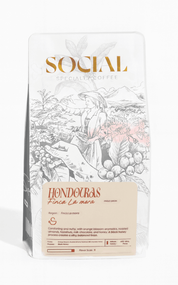 مول القهوة – اشتري حبوب قهوة مختصة للفلاتر في مصر