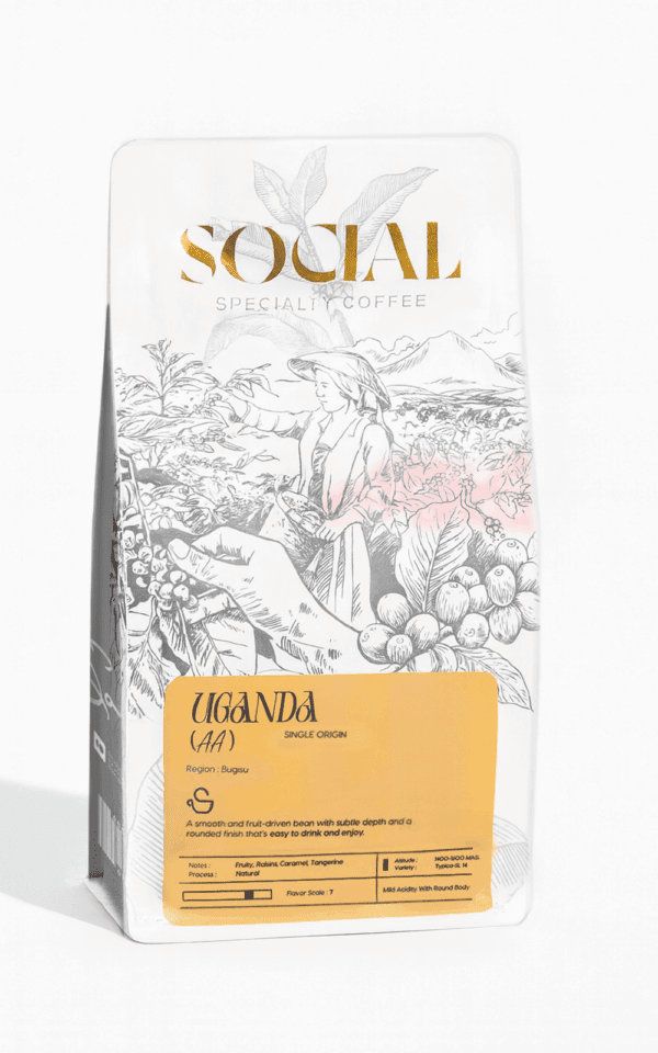 The Mall of Coffee - buy specialty coffee beans for filter in Egypt